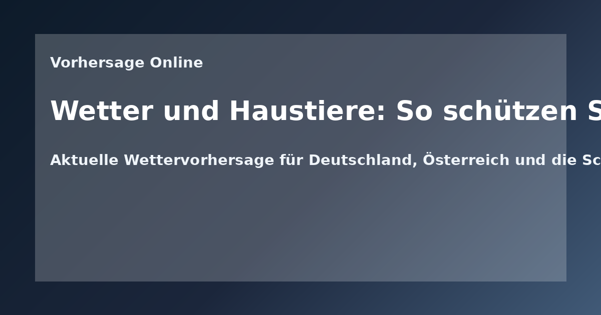 Wetter und Haustiere: So schützen Sie Ihre Tiere